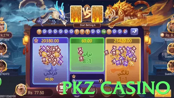 PKZ Casino App - 5